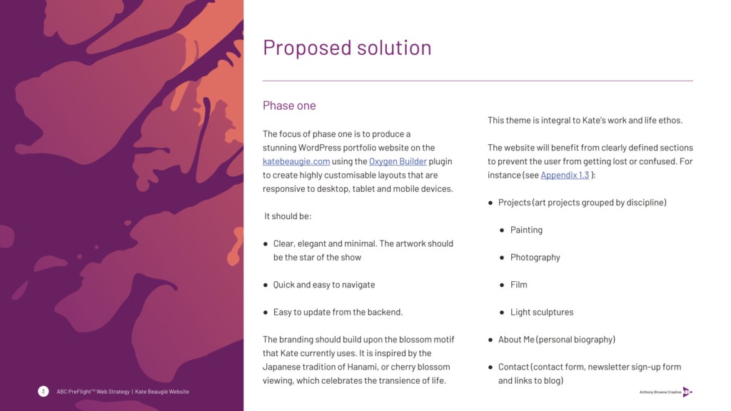 Extract from the ABC PreFlight Web Strategy Plan document, which outlines the details of the proposed solution.